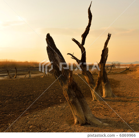 Watarase Setuki 6869966