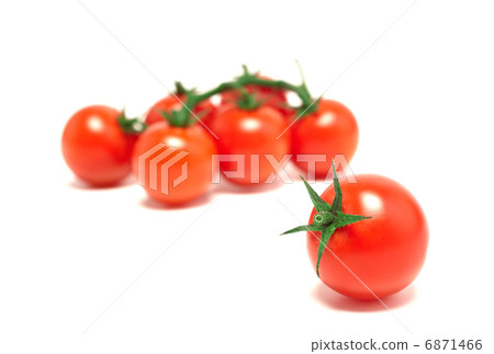  櫻桃西紅柿 6871466