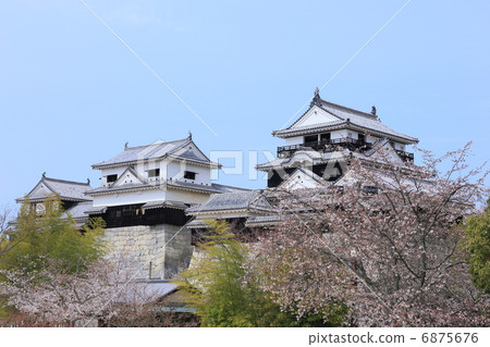 Hanasaki Matsuyama Castle 6875676