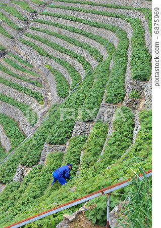 A plowed field of plows from the plow to the sky 6875969
