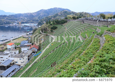 A plowed field of plows from the plow to the sky 6875970