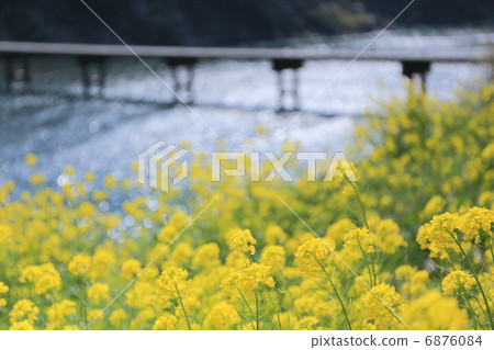 Settlement bridge of Shimanto River Iwama Settlement bridge of Shimanto River Iwama 6876084