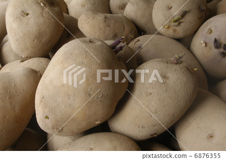 Potato's sweet potato 6876355