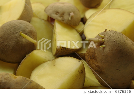 Potato's sweet potato Potato's sweet potato 6876356