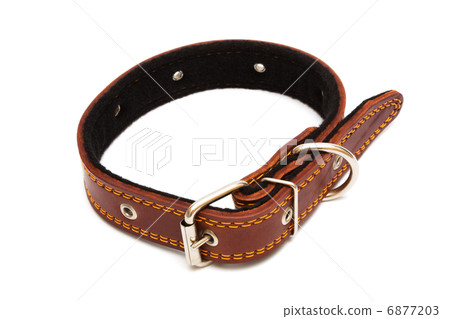 Leather dog collar Leather dog collar 6877203