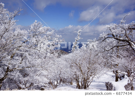 高木山上的樹木（德島縣長野郡永町） 6877434