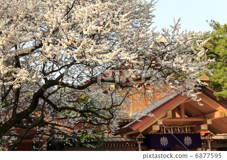 Atsuta Jingu在早春 Atsuta Jingu在早春 6877595