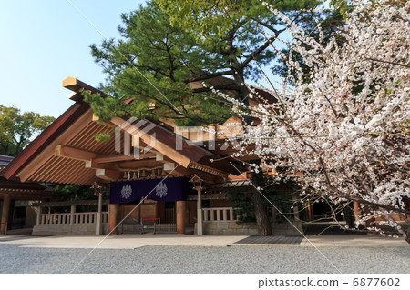 熱田神社神樂娃娃和梅花 熱田神社神樂娃娃和梅花 6877602