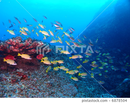 A group of saw dies and yosugefu dai 6878504