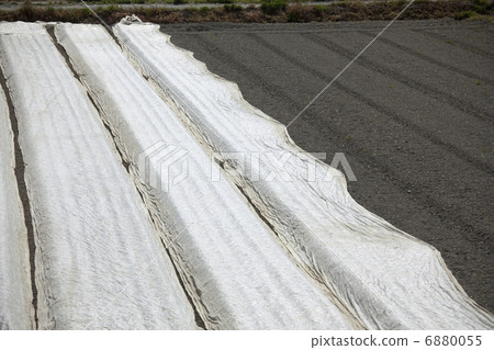 Field curing sheet 6880055