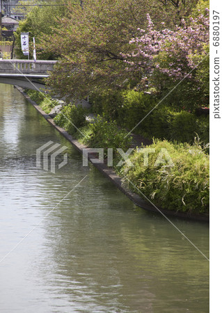 Cherry blossoms and canals Cherry blossoms and canals 6880197