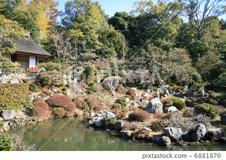早春的國際象棋花園 6881870