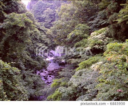 新鮮的綠色谷在縣邊界的 6883930