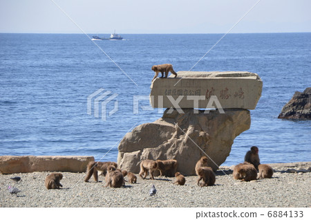 Izu Katsuzaki 6884133