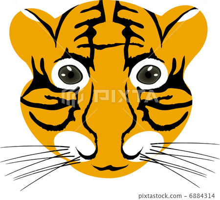 Vector illustration of tiger baby head isolated on a white background  6884314