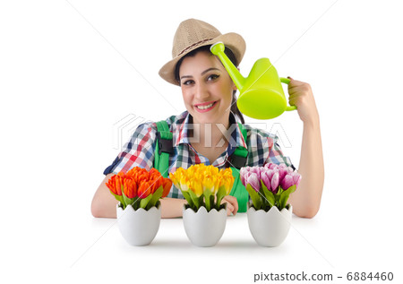 Girl watering plants on white Girl watering plants on white 6884460