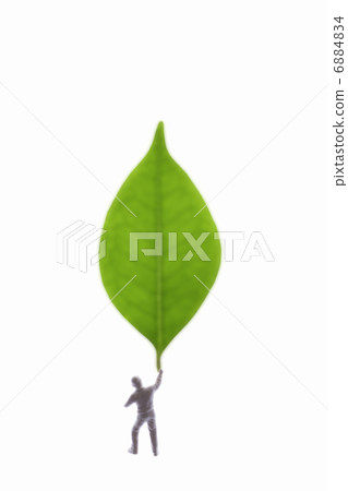 娃娃和葉子 6884834