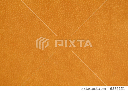 Suede leather 6886151