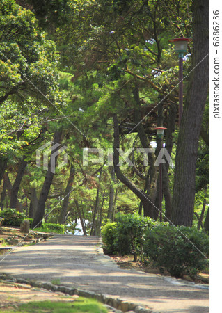 Sumiura公園 Sumiura公園 6886236