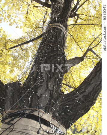 LED Illumination 6886542