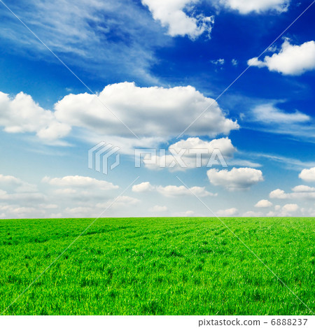 green meadow green meadow 6888237
