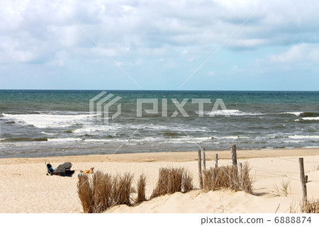 Summer beach in the Netherlands Summer beach in the Netherlands 6888874