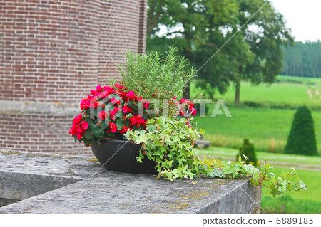 Flowers in the castle Heeswijk . Netherlands 6889183