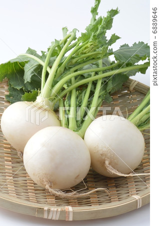 Small turnip 6889646