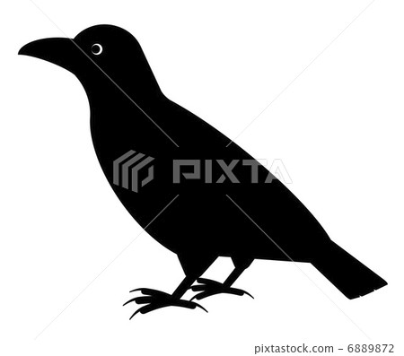 Crow Crow 6889872