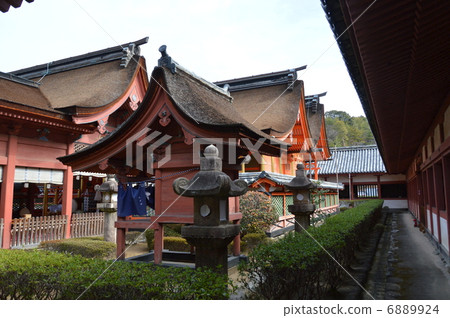 伊佐爾神社(愛媛郡松山櫻谷町) 伊佐爾神社(愛媛郡松山櫻谷町) 6889924