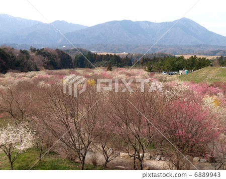 Inabe City Agricultural Park · Bairin Park (view) 6889943