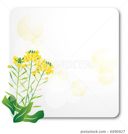 Rape blossom background 6890927