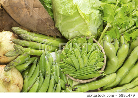 春天菜的小組圖片 6891479