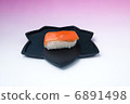 Salmon _ Black Basin 6891498