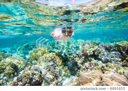Woman snorkeling Woman snorkeling 6891855