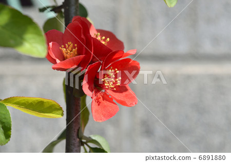 Bokeh (crumpled) Bokeh (crumpled) 6891880