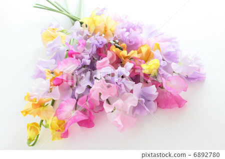 Colorful bouquet of sweet pea (horizontal total right side facing) 6892780