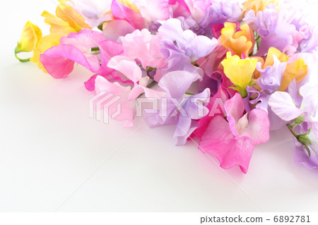 Colorful bouquet of sweet pea (lateral part right upper triangle) 6892781