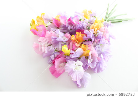 Colorful bouquet of sweet pea (lateral center left) 6892783