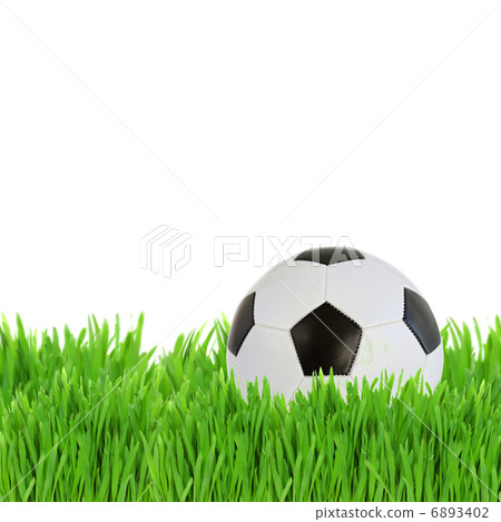 soccer ball in grass soccer ball in grass 6893402