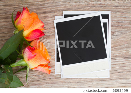 pile of instant photo with roses pile of instant photo with roses 6893499