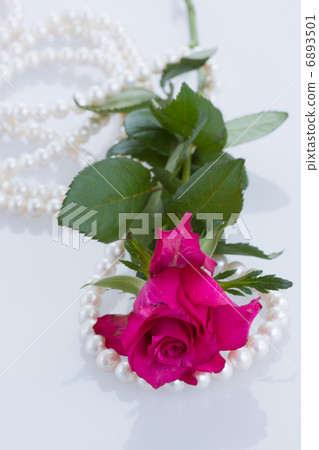one pink rose with pearls one pink rose with pearls 6893501