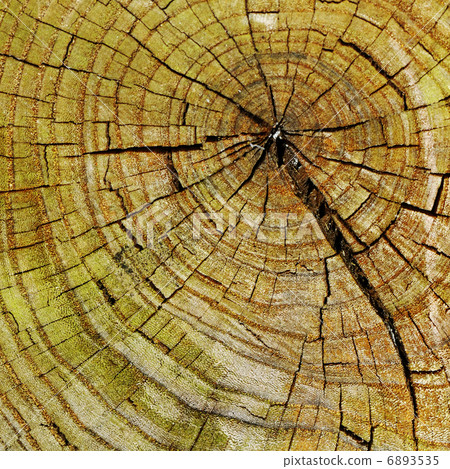 Wooden texture 6893535