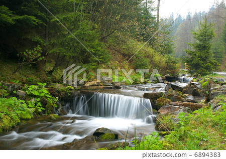 Beautiful forest landscape with rapid flowing brook Beautiful forest landscape with rapid flowing brook 6894383