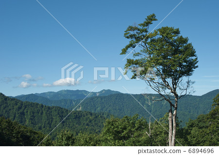 津輕通行證 6894696