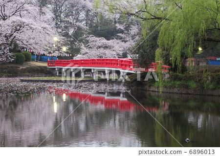 櫻花岩城城堡遺址公園 櫻花岩城城堡遺址公園 6896013