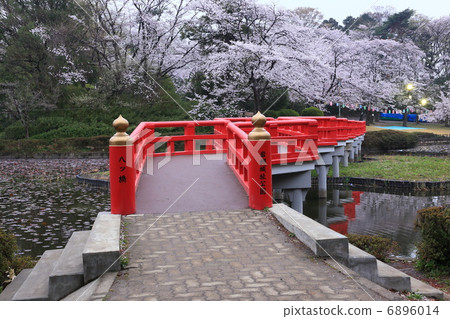 櫻花岩城城堡遺址公園 6896014