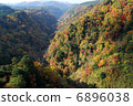 Kuju Yumae吊橋 6896038