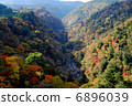 Kuju Yumae吊橋 6896039