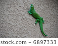 A lizard 6897333